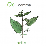 o-comme-ortie-im